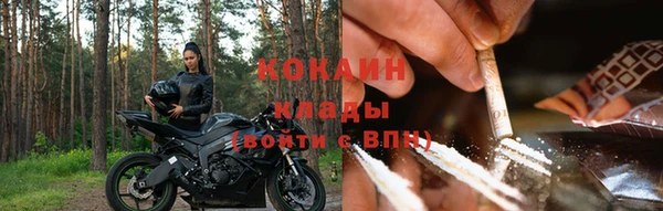 ПСИЛОЦИБИНОВЫЕ ГРИБЫ Аркадак