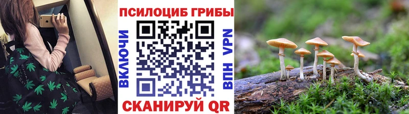 Галлюциногенные грибы Psilocybe  Сорочинск 